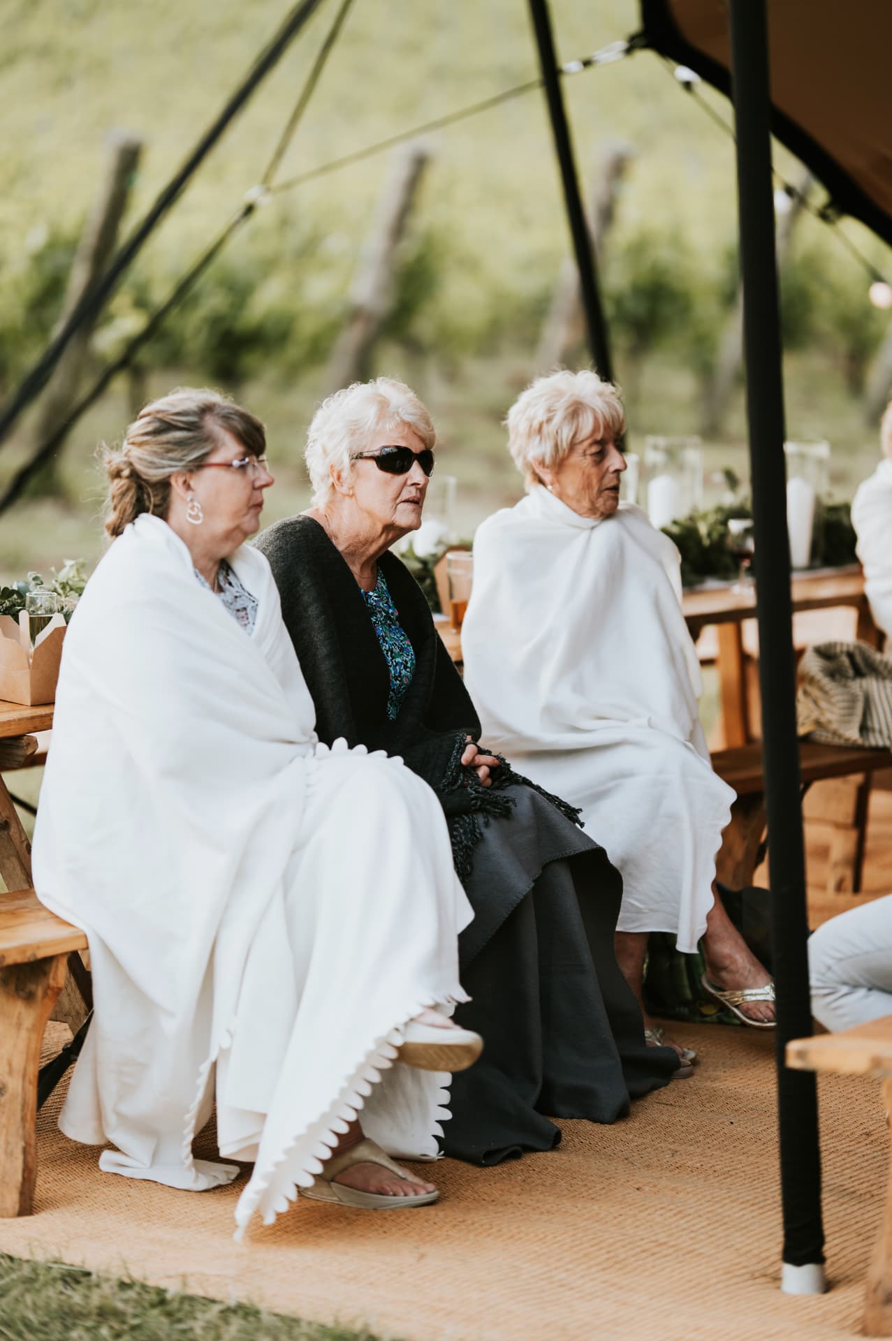 Guests seated for a wedding ceremony at Wiston Estate